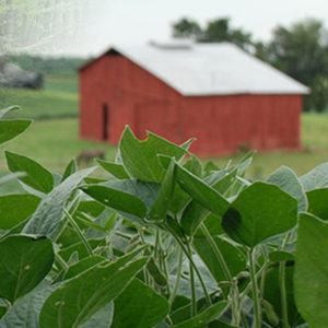 red barn and crops