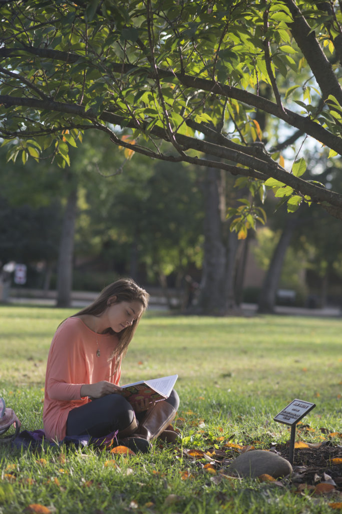 student sitting in a field reading a book