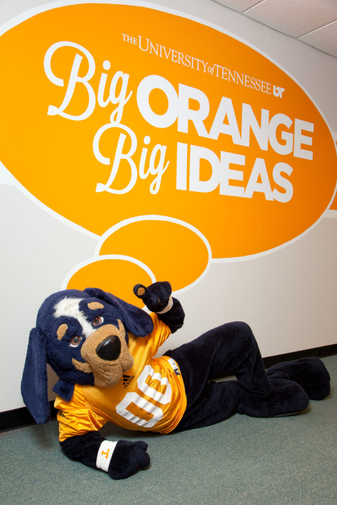 smokey laying under a thought bubble that says Big Orange Big Ideas