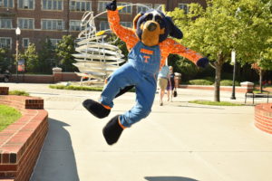 Smokey jumping in the air