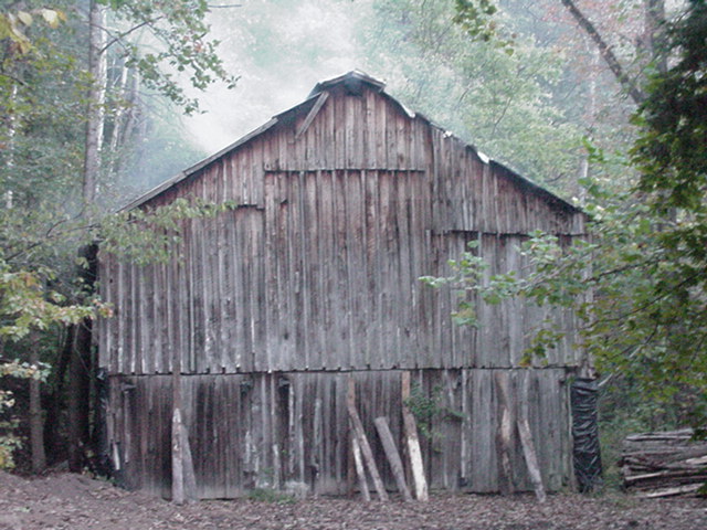 An old barn in the woods