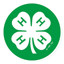 4-H Banner