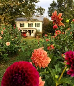 Our flower farm
