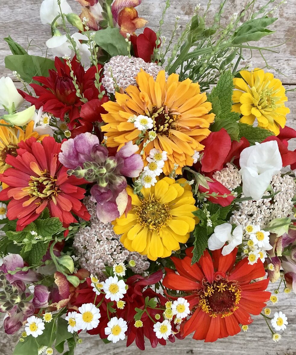 a colorful flower bouquet 